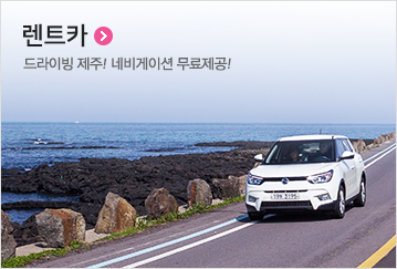 렌트카