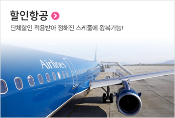 할인항공